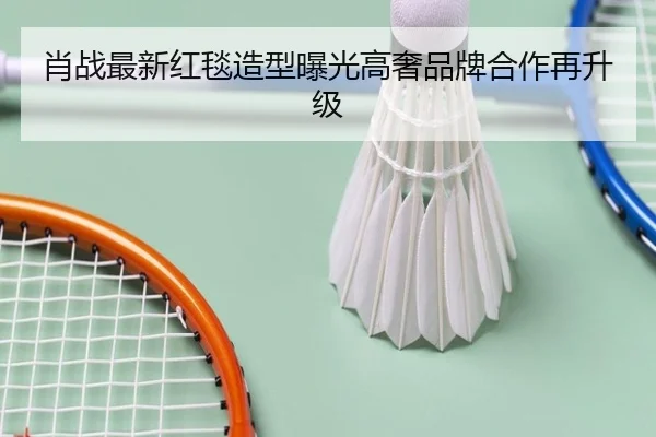 肖战最新红毯造型曝光高奢品牌合作再升级